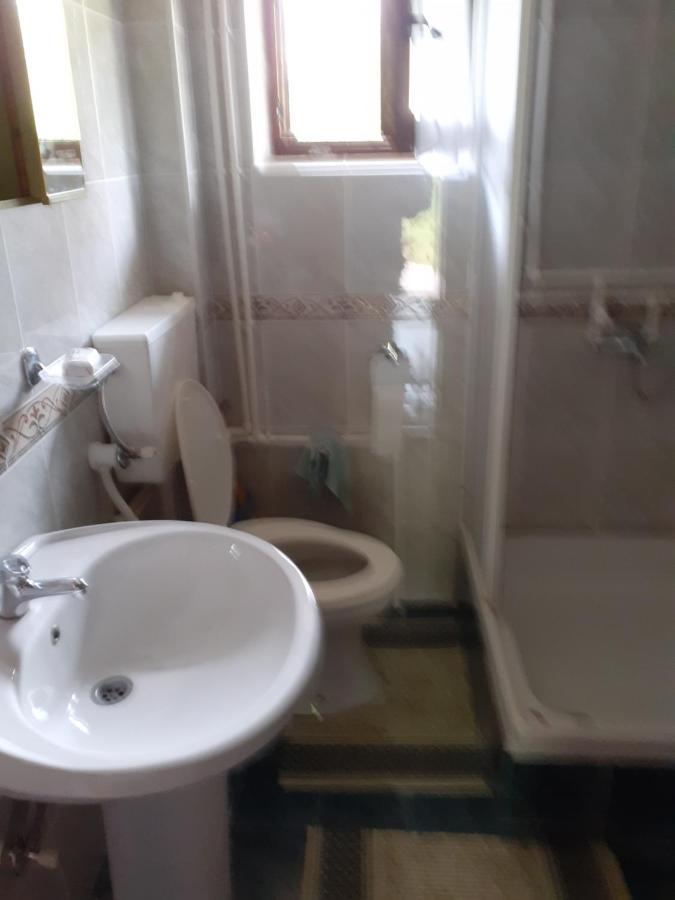 Zaovine Studio Apartman Jelena מראה חיצוני תמונה