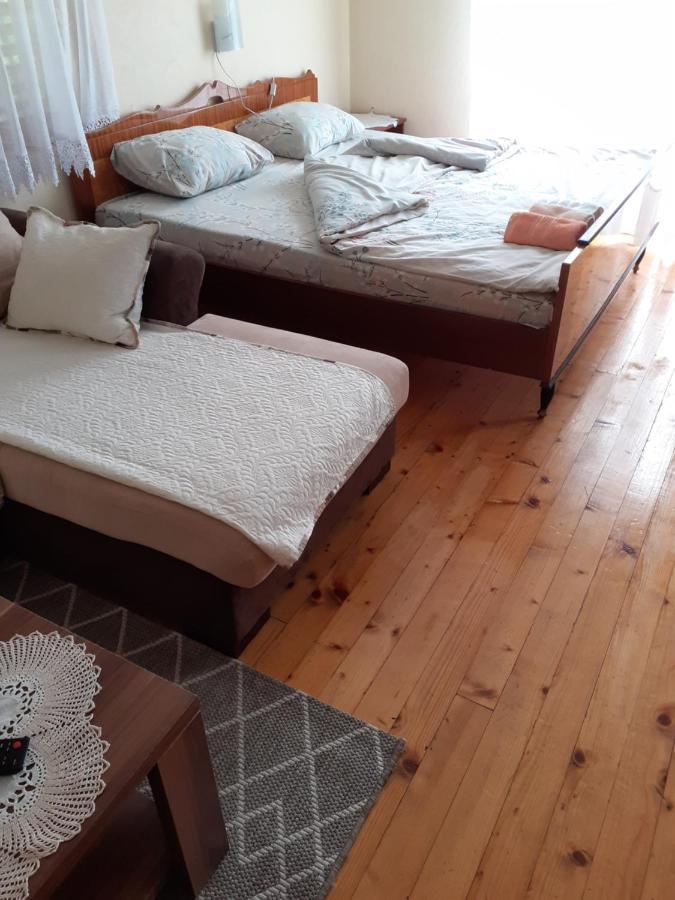 Zaovine Studio Apartman Jelena מראה חיצוני תמונה